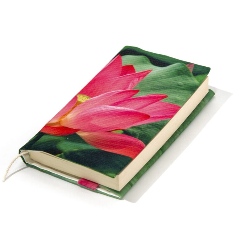 Maron Bouillie -