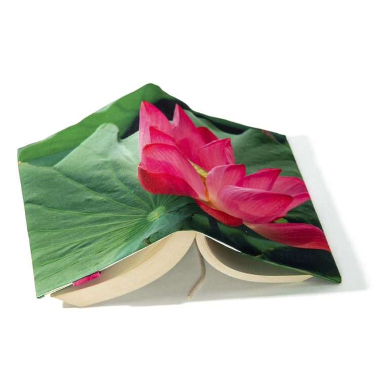 Maron Bouillie -