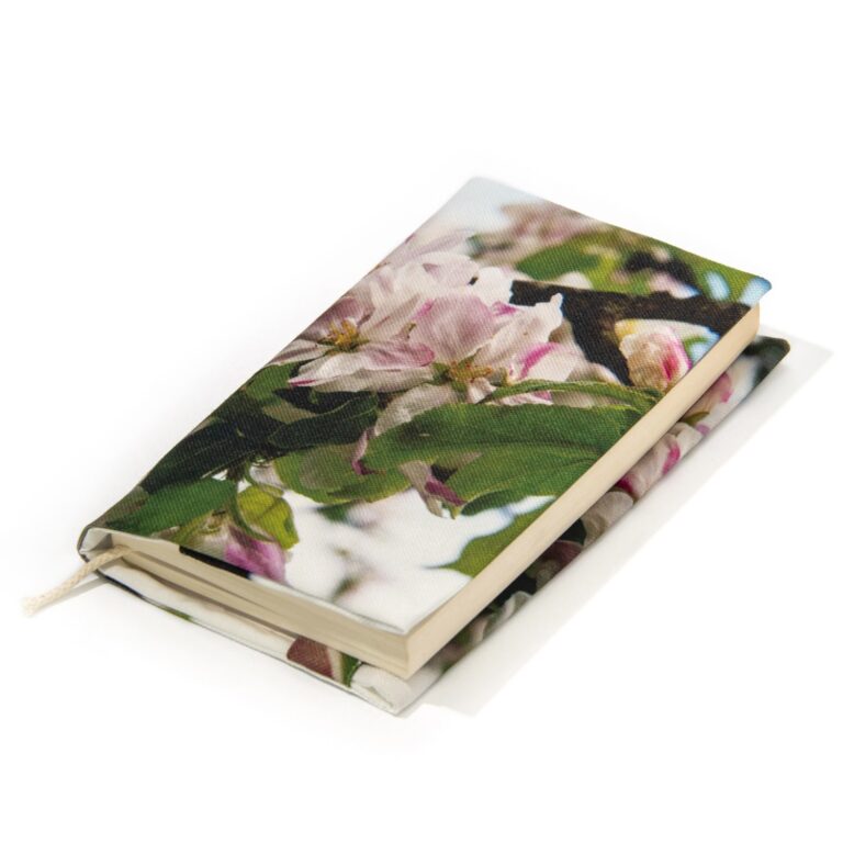 Maron Bouillie -