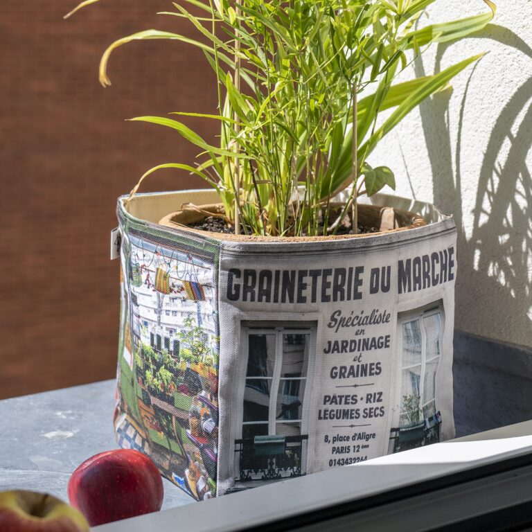 Maron Bouillie -