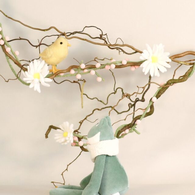 Pamplemousse Peluches -