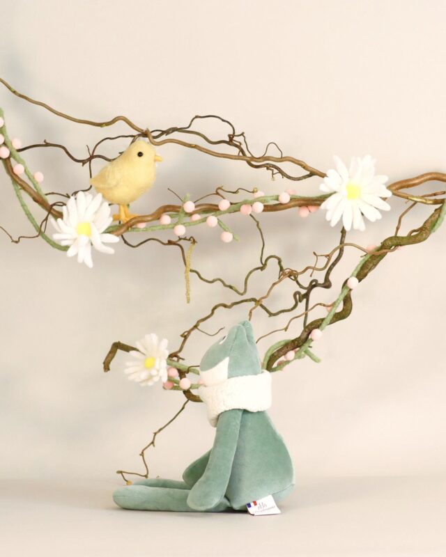 Pamplemousse Peluches -