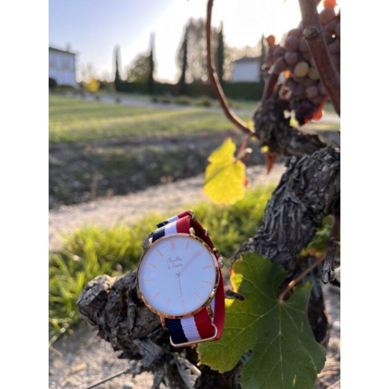 Menthe à l'eau - Montre Homme La Résistante bracelet nato bleu/blanc/rouge rose dorée – Bleu