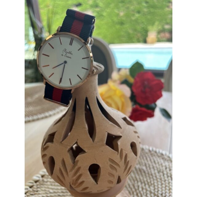 Menthe à l'eau - Montre Homme La Résistante bracelet nato bleu/rouge rose dorée