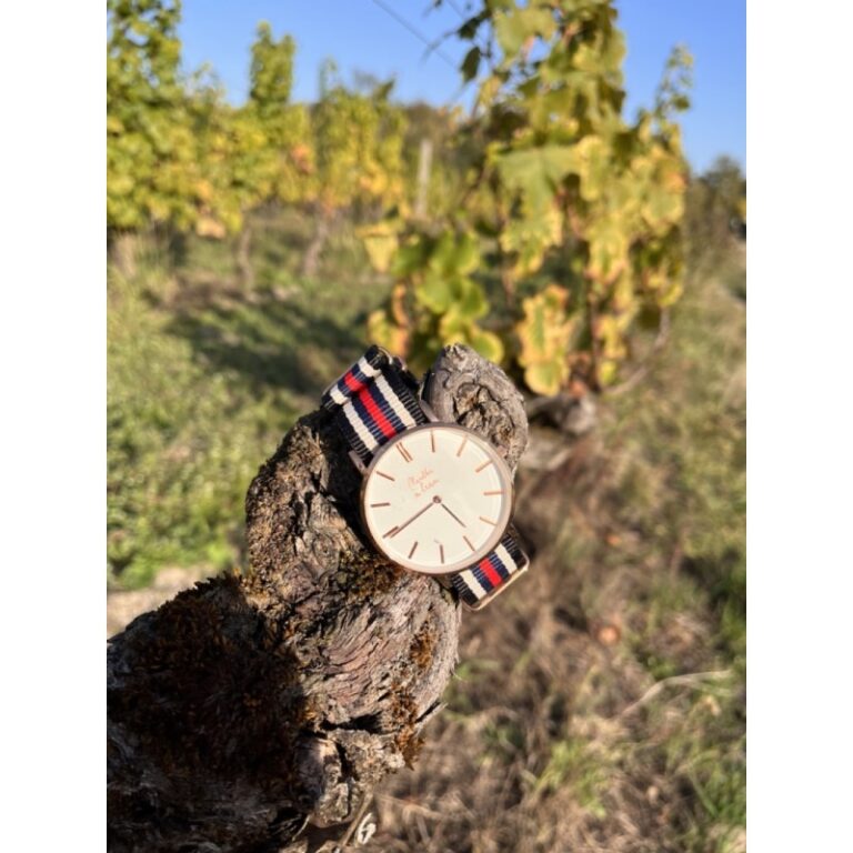 Menthe à l'eau - Montre Homme La Résistante bracelet nato noir/beige/bleu/rouge rose dorée – Beige