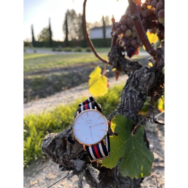 Menthe à l'eau - Montre Homme La Résistante bracelet nato noir/beige/bleu/rouge rose