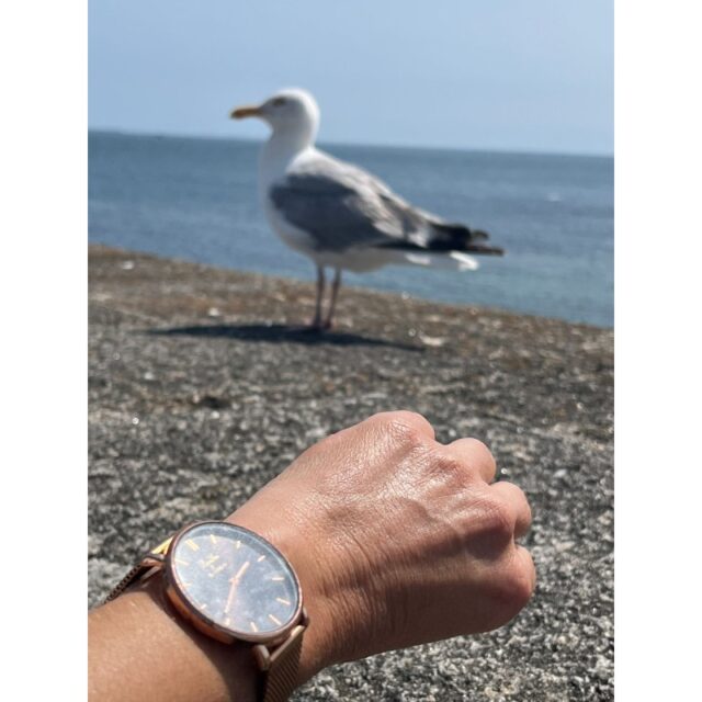 Menthe à l'eau - Montre Mixte L'Indécise maille dorée rose fond noir rose dorée