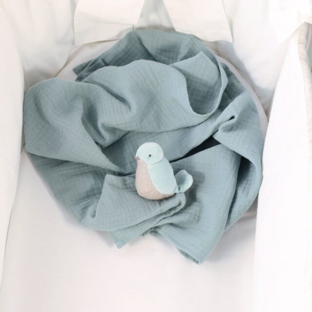 Pamplemousse Peluches -