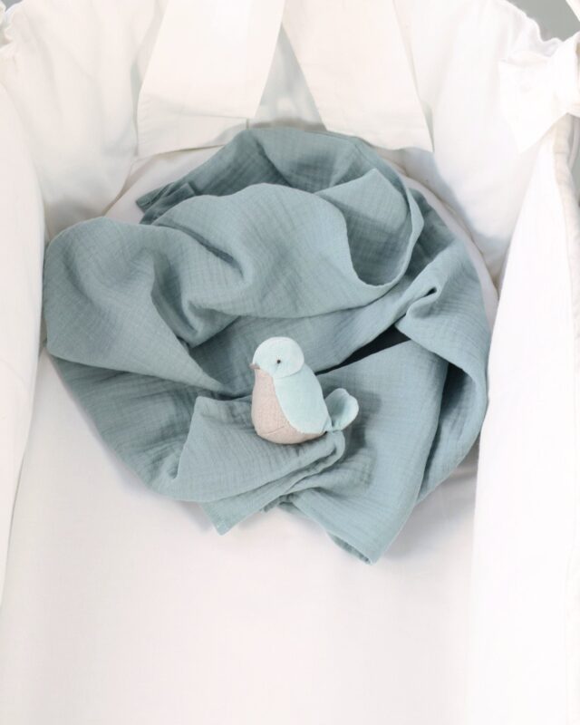 Pamplemousse Peluches -