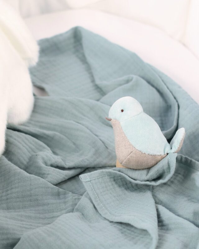 Pamplemousse Peluches -