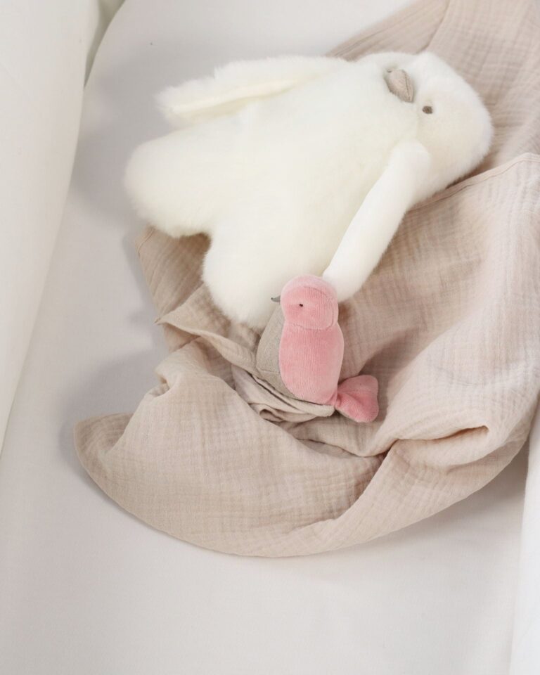 Pamplemousse Peluches -