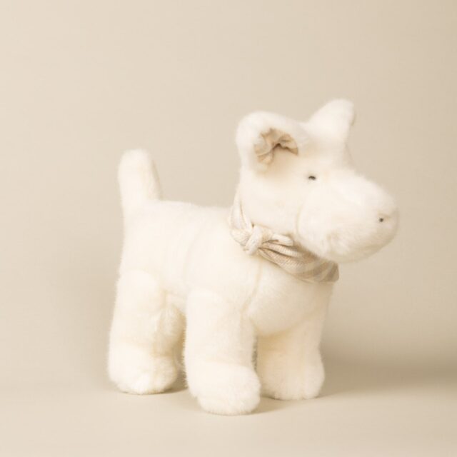 Pamplemousse Peluches -