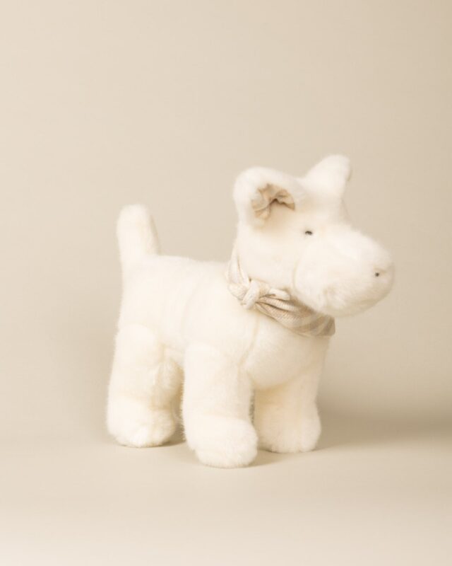 Pamplemousse Peluches -