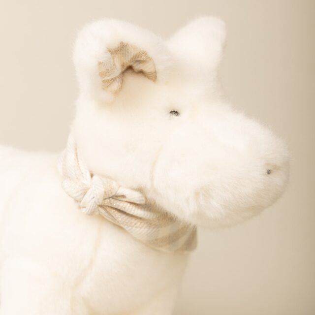 Pamplemousse Peluches -