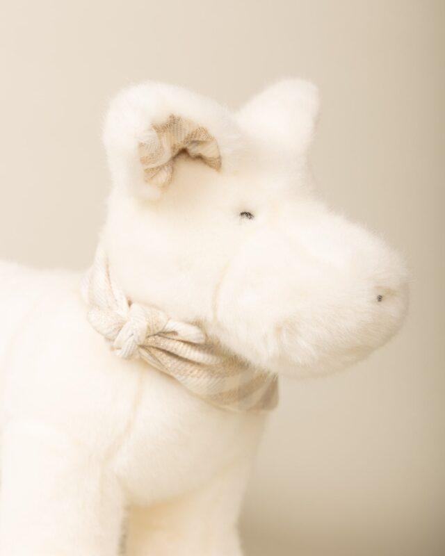 Pamplemousse Peluches -