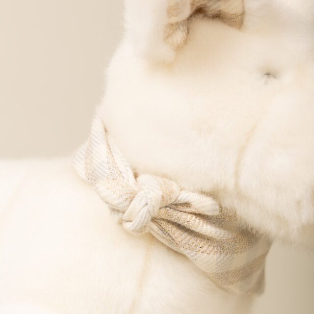 Pamplemousse Peluches -