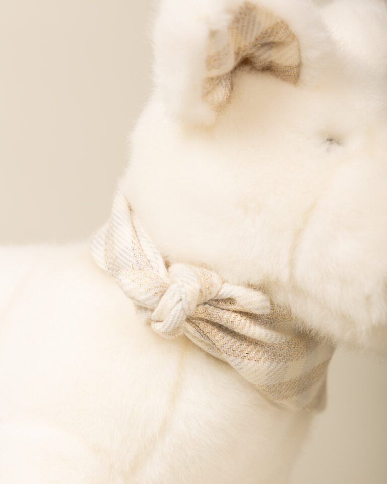 Pamplemousse Peluches -