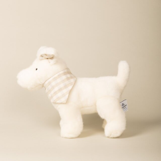 Pamplemousse Peluches -