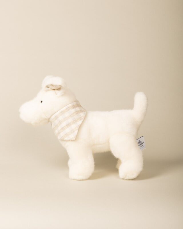 Pamplemousse Peluches -