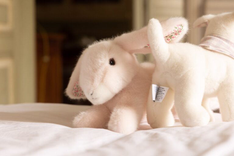 Pamplemousse Peluches -