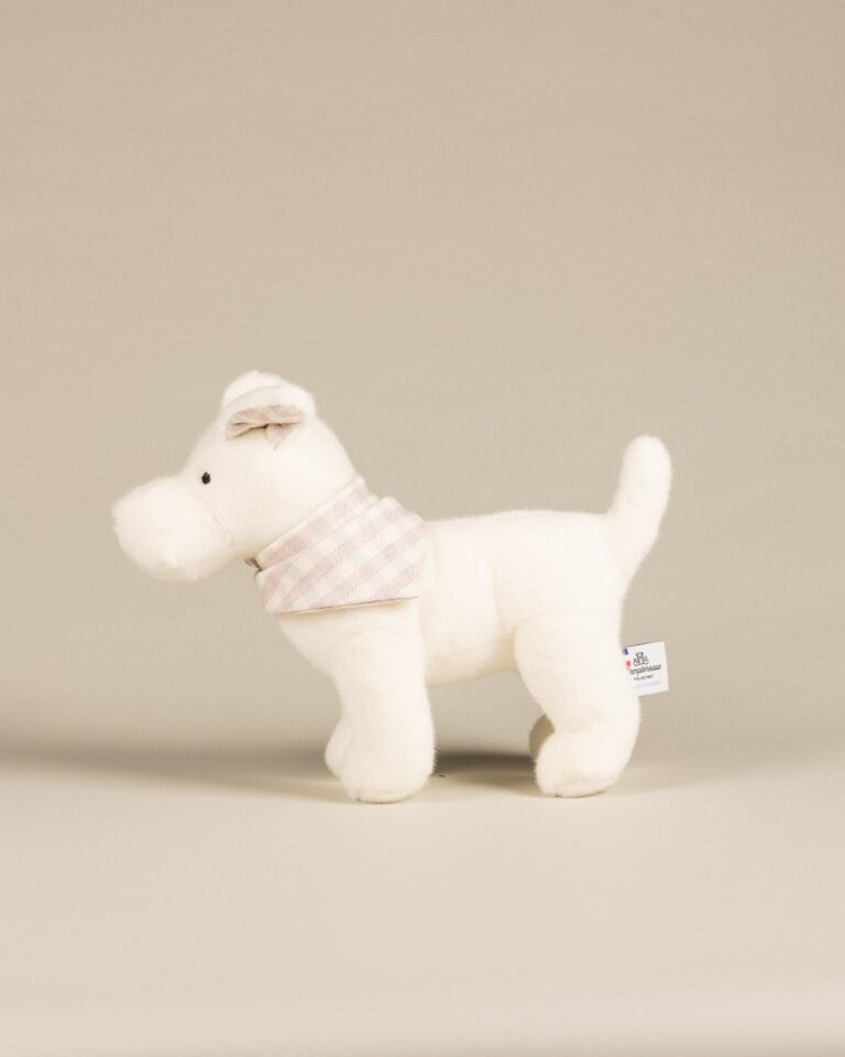 Pamplemousse Peluches -