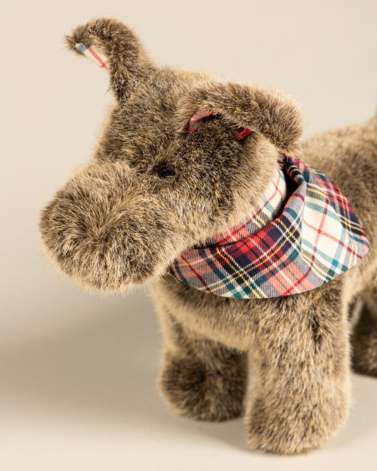 Pamplemousse Peluches -