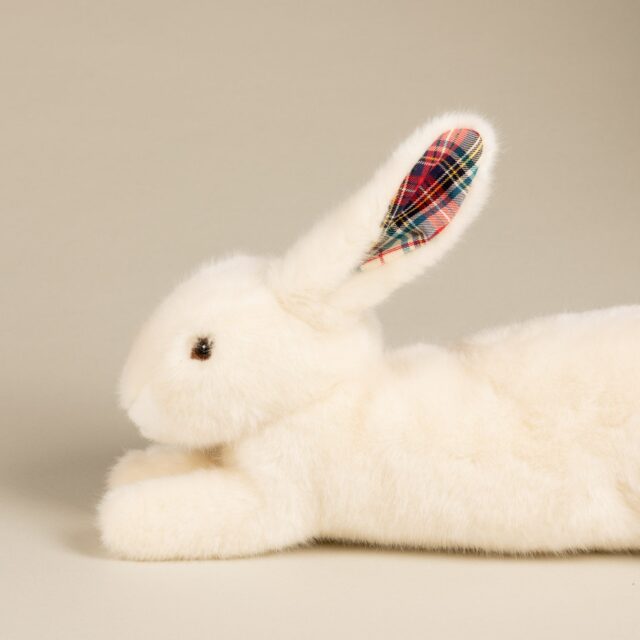 Pamplemousse Peluches -