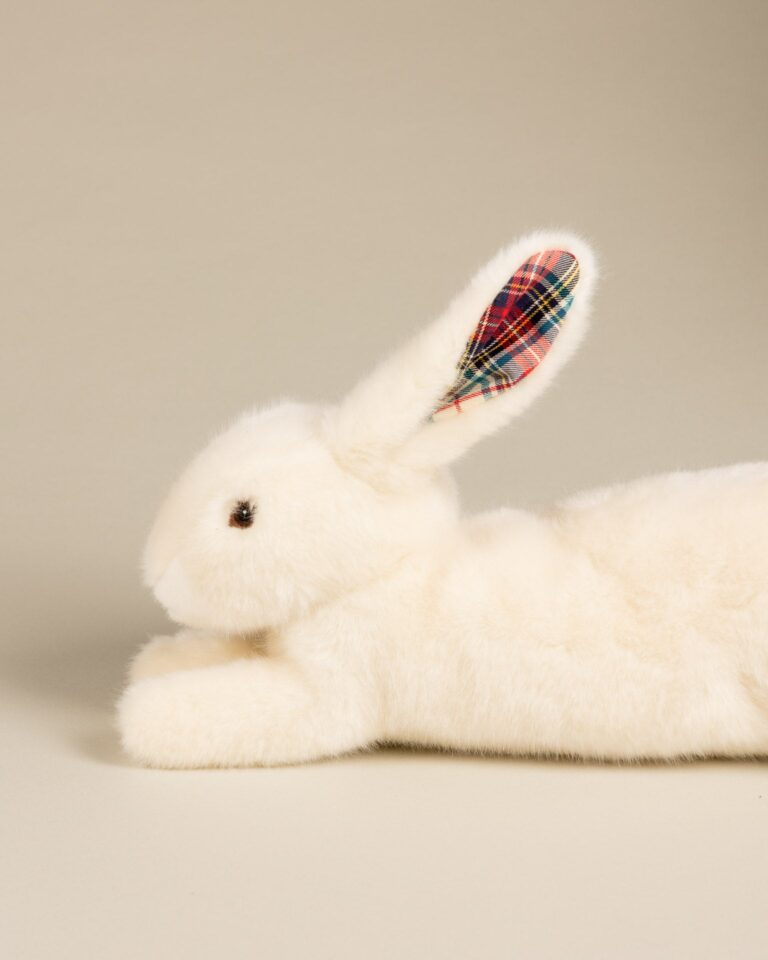 Pamplemousse Peluches -