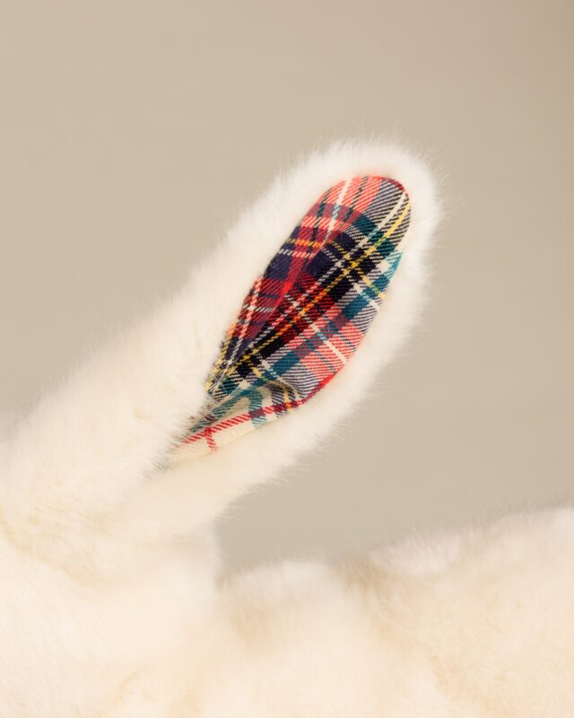 Pamplemousse Peluches -