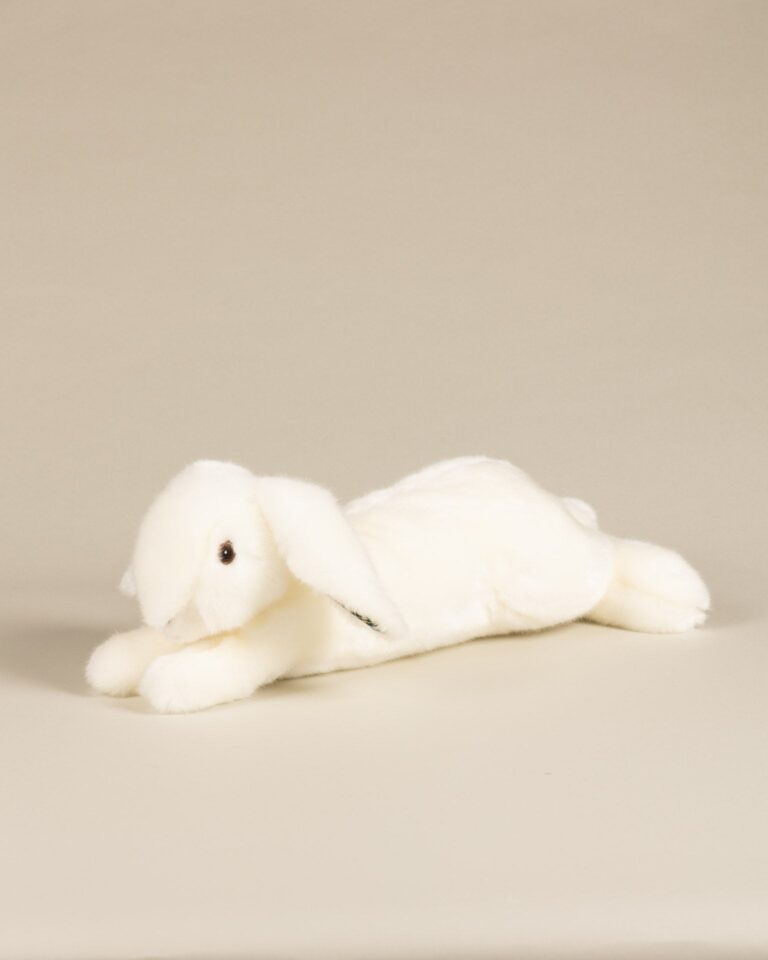 Pamplemousse Peluches -