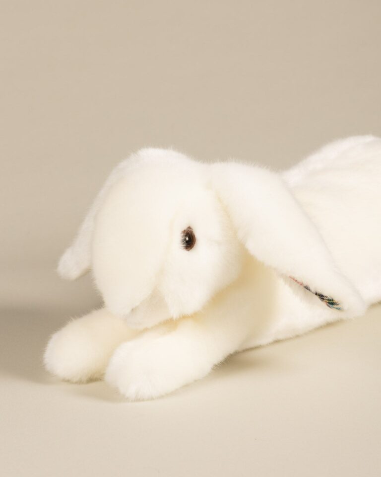 Pamplemousse Peluches -
