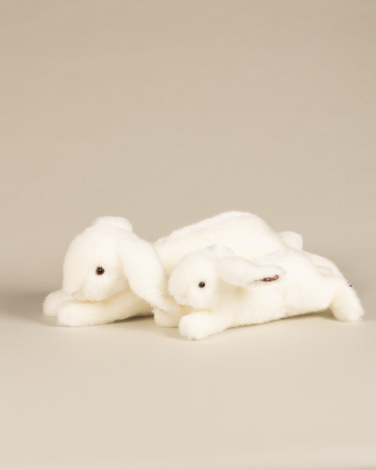 Pamplemousse Peluches -