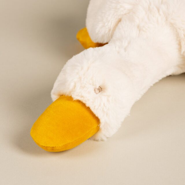 Pamplemousse Peluches -