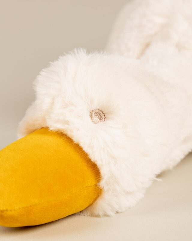 Pamplemousse Peluches -