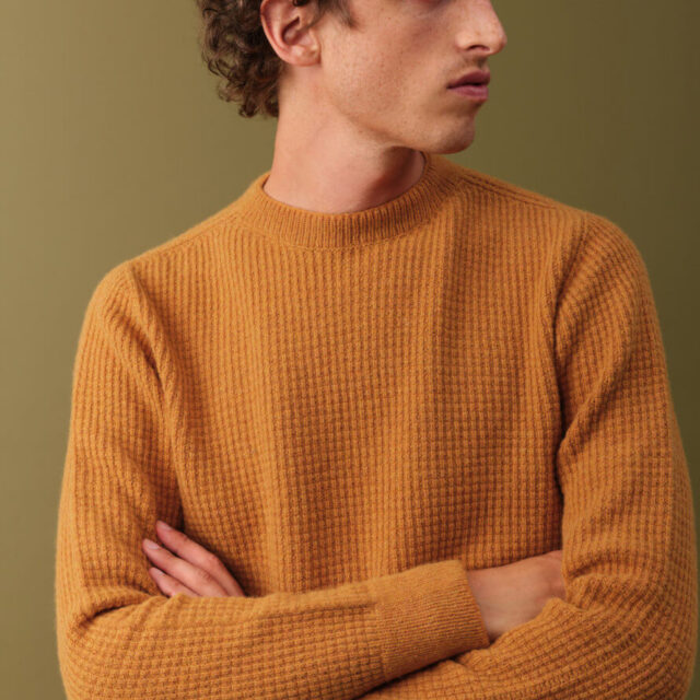 Montlimart - PULL ORIGINE MOUTARDE