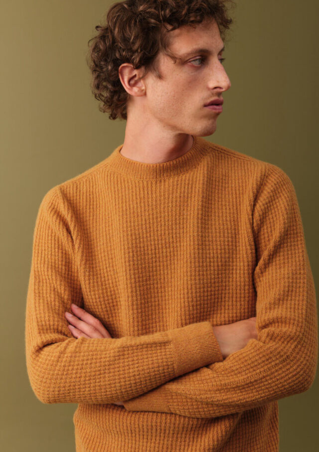 Montlimart - PULL ORIGINE MOUTARDE