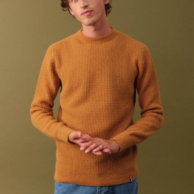 Montlimart - PULL ORIGINE MOUTARDE