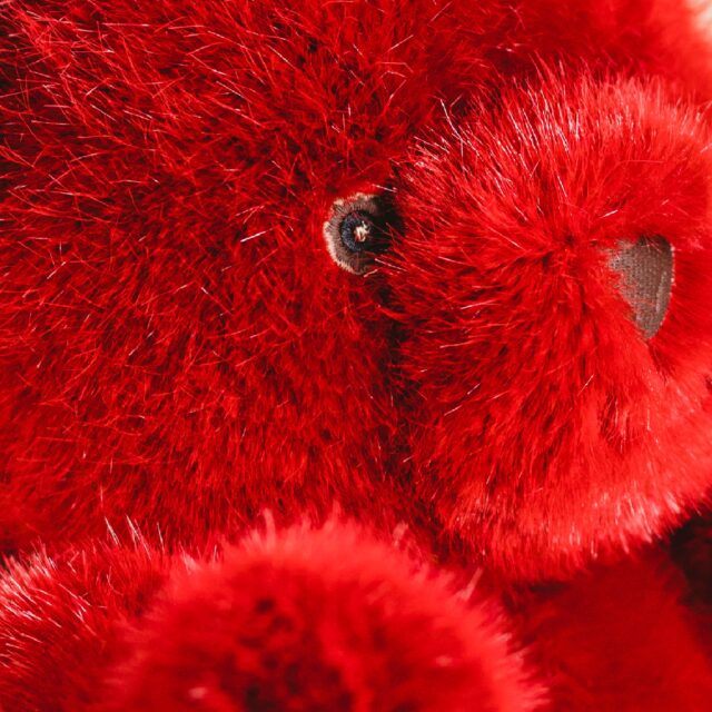 Pamplemousse Peluches -