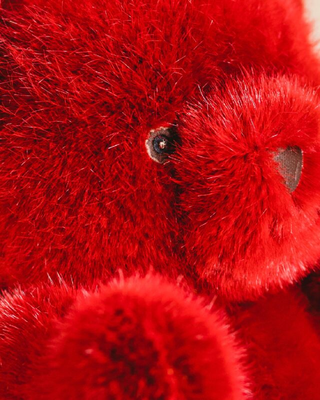 Pamplemousse Peluches -