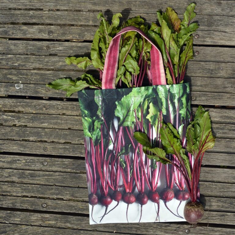 Maron Bouillie -