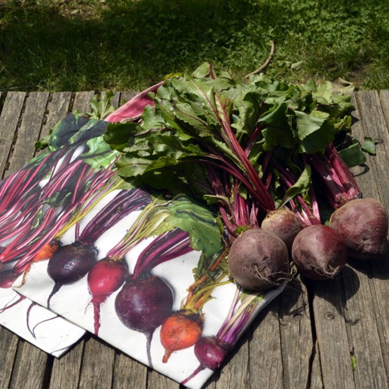 Maron Bouillie -