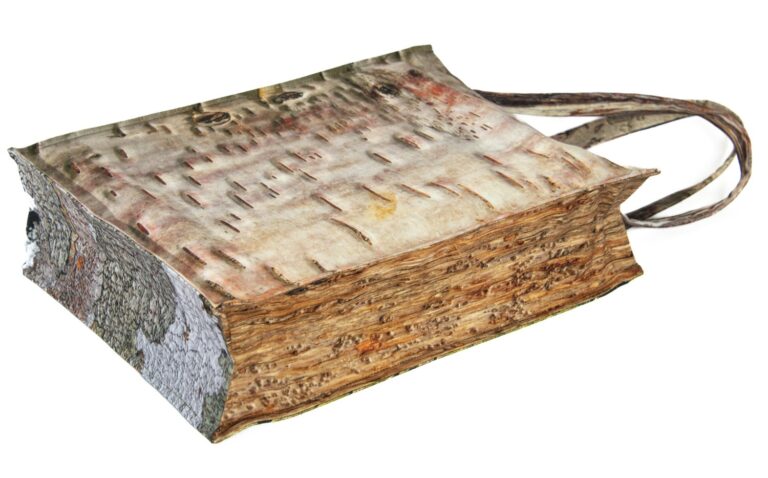 Maron Bouillie -