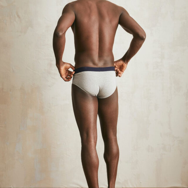 Lemahieu - Slip en Coton BIO - Gris - Terracotta - Homme