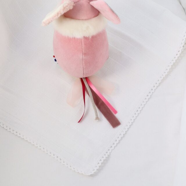 Pamplemousse Peluches -