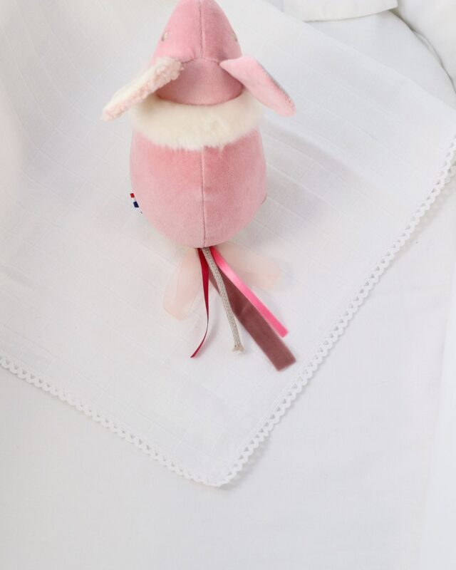 Pamplemousse Peluches -