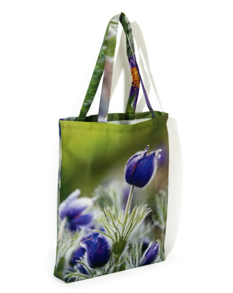 Maron Bouillie -