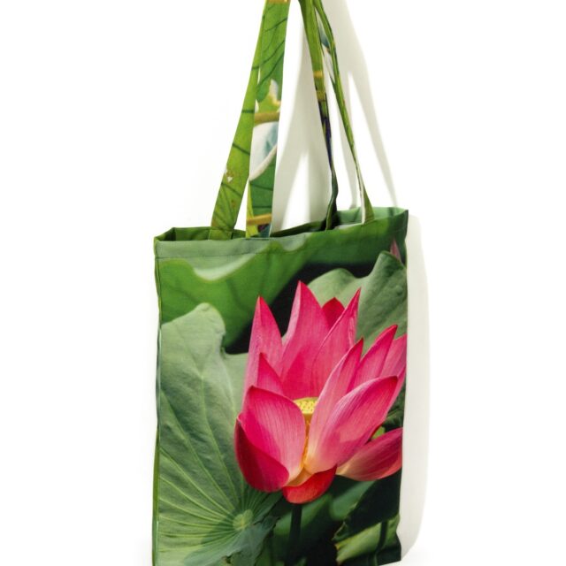 Maron Bouillie -