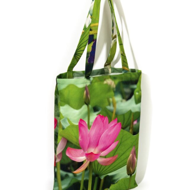 Maron Bouillie -