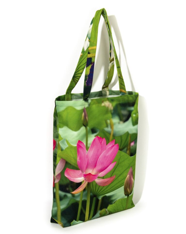 Maron Bouillie -