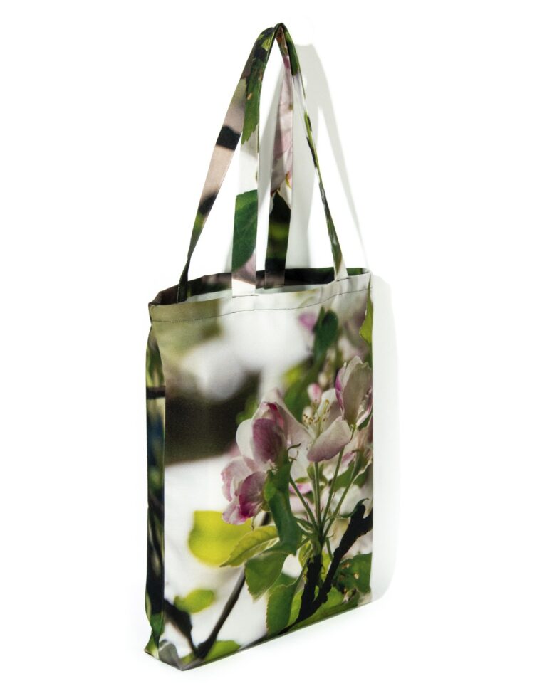 Maron Bouillie -